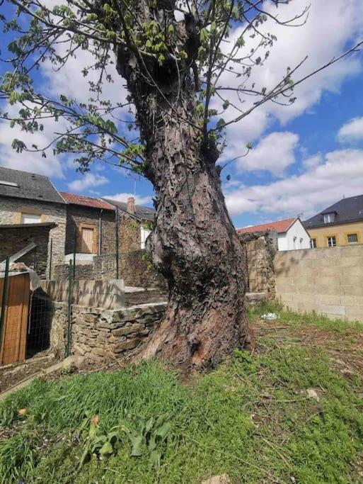 La Cascade Verte /appartement /jardin /parking Apartment *